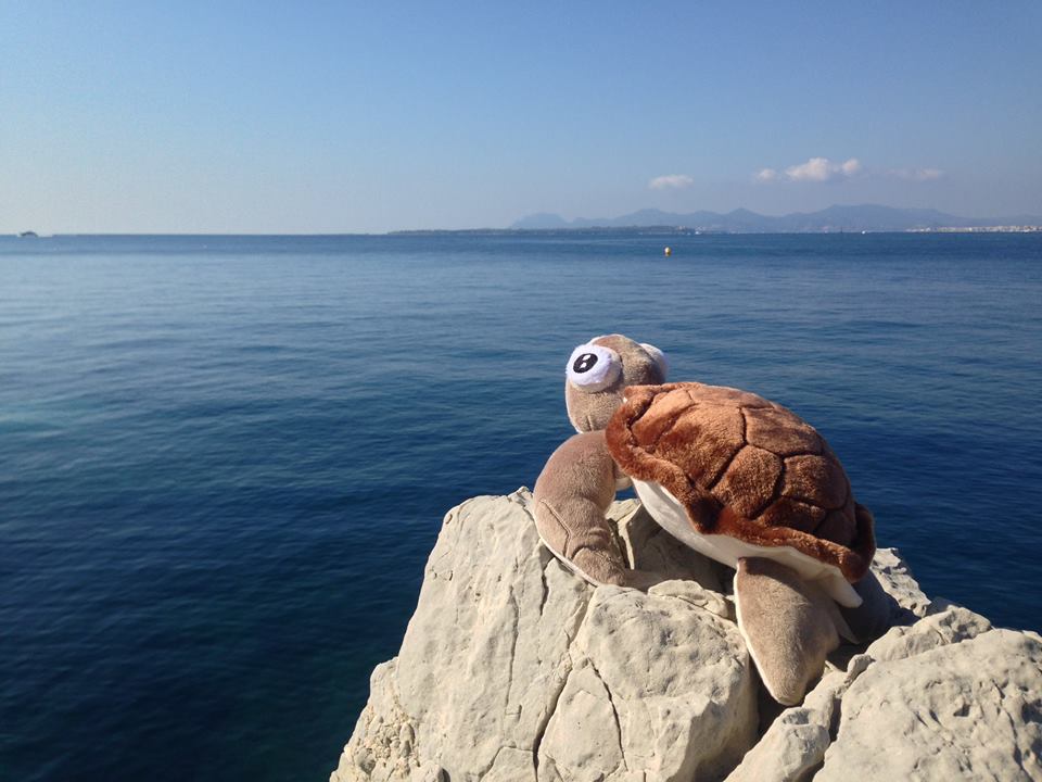 14517499_1015078195256596_6975715954563143853_n